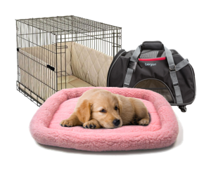 Dog Beds & Carriers