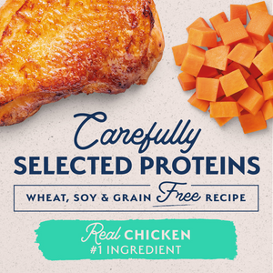 Natural Balance Limited Ingredient Grain Free Chicken & Sweet Potato Recipe Wet Canned Dog Food