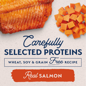 Natural Balance Limited Ingredient Grain Free Sweet Potato & Salmon Recipe Wet Canned Dog Food