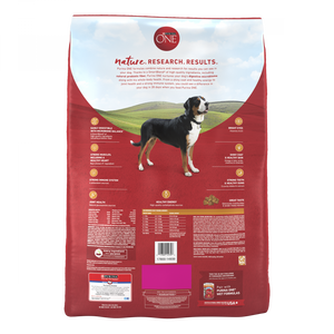 Purina ONE SmartBlend Chicken & Rice Dry Dog Food