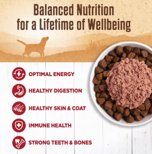 Wellness Natural Grain Free 95% Beef Recipe Adult Wet Canned Dog Food