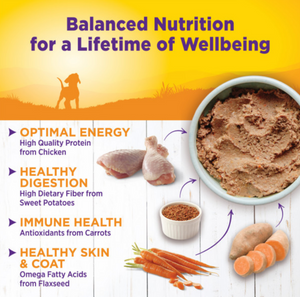 Wellness Complete Health Natural Just for Puppy Chicken and Salmon Recipe Wet Canned Dog Food