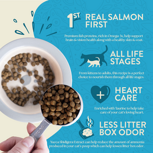 Earthborn Holistic Wild Sea Catch Grain Free Natural Cat Food