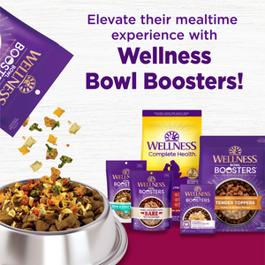 Wellness Complete Health Natural Small Breed Healthy Weight Turkey and Brown Rice Recipe Dry Dog Food