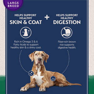 Natural Balance Limited Ingredient Lamb & Brown Rice Large Breed Recipe Dry Dog Food