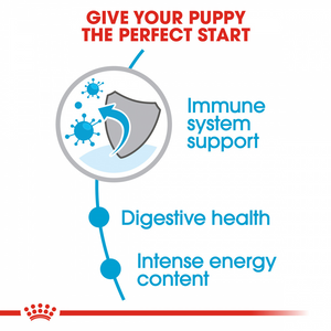 Royal Canin Small Puppy Dry Dog Food