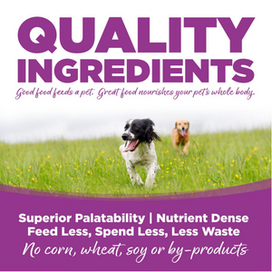 NutriSource Large Breed Puppy Chicken & Rice Dry Dog Food