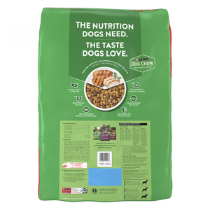 Purina Dog Chow Complete and Balanced Dry Dog Food