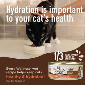 Wellness CORE Natural Grain Free Indoor Chicken and Chicken Liver Smooth Pate Wet Canned Cat Food