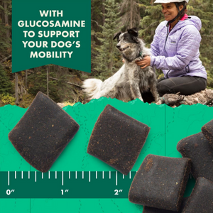 Zukes Hip Action Beef Dog Treats with Glucosamine and Chondroitin