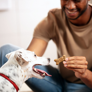 Milk-Bone Flavor Snacks for Small/Medium Dogs