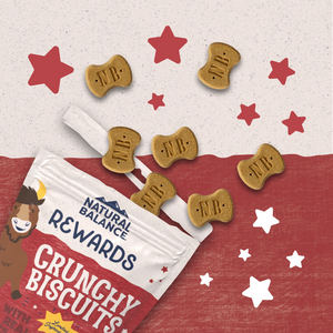 Natural Balance Rewards Crunchy Biscuits With Real Bison Small Breed  Dog Treats