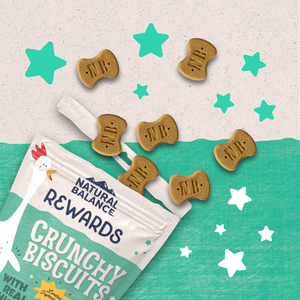 Natural Balance Rewards Crunchy Biscuits With Real Chicken Dog Treats