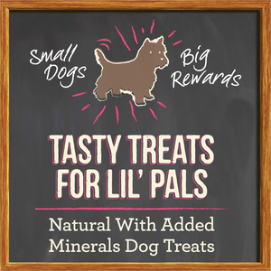 Merrick Lil' Plates Grain Free Small Salmon Dog Treats